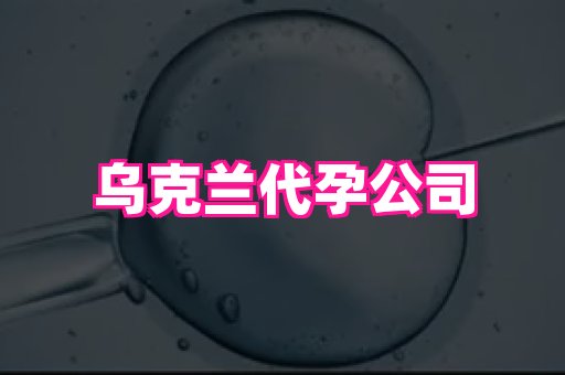 香港助孕网 2
