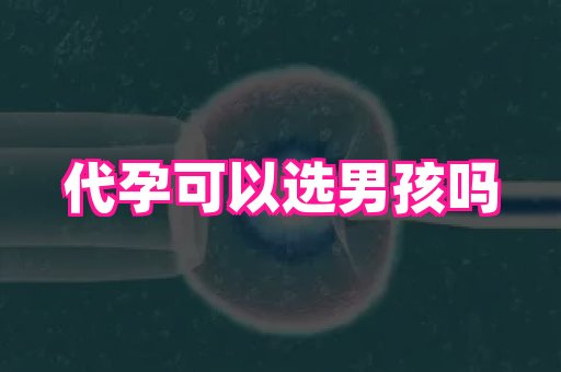 香港助孕网 3