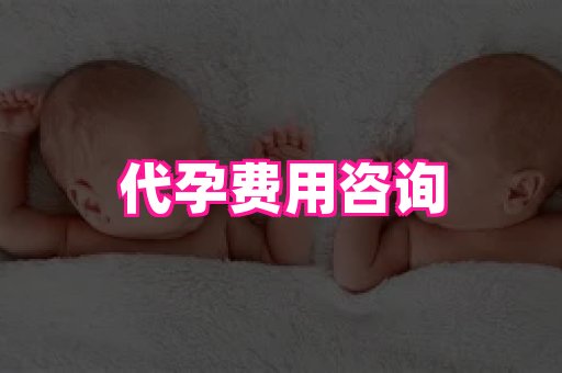 香港助孕网 4